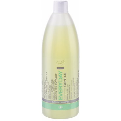 Master Profesional šampon pro každodenní použití 970 ml – Hledejceny.cz