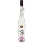 Hustopečská Mandlovka 38% 1,5 l (holá láhev) – Zboží Dáma