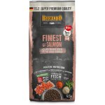 Belcando Adult Dog Finest Grain Free XS-M Salmon 12,5 kg – Sleviste.cz