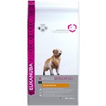 Eukanuba Golden Retriever 12 kg – Hledejceny.cz