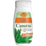 BC Bione Cosmetics šampon na mastné vlasy Cannabis 260 ml – Hledejceny.cz