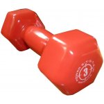 Power System VINYL DUMBELL 3 kg – Zbozi.Blesk.cz