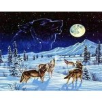 Norimpex Diamantové malování Vlčí smečka 30 x 40 cm – Hledejceny.cz