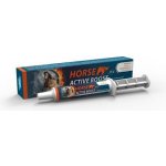 Horse Active Boost pst 20 g – Hledejceny.cz
