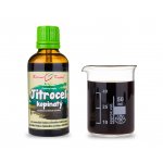 Bylinné kapky Jitrocel kopinatý tinktura 50 ml – Hledejceny.cz