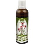 Naděje Echinacea purpurea T7 50 ml – Sleviste.cz