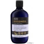 Baylis & Harding pěna do koupele Levandule a Bergamot 500 ml – Zboží Dáma