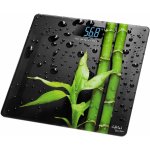 Gallet PEP 953 – Zbozi.Blesk.cz