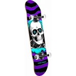 Powell Peralta Ripper One Off – Zbozi.Blesk.cz