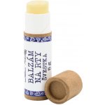 Medarek B Balzám na rty švestka 5 g – Zboží Dáma