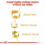 Royal Canin Poodle Adult 0,5 kg – Hledejceny.cz