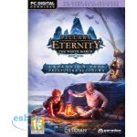 Pillars of Eternity: The White March Expansion Pass – Hledejceny.cz