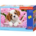 Castorland Štěňátko v růžových květinách 180 dílků – Sleviste.cz
