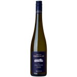 Johann Donabaum Riesling Smaragd Ried Vogelleithen Suché bílé 2023 13,5% 0,75 l (holá láhev) – Hledejceny.cz