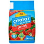 Forestina ORGAMIN Cererit s guánem a lignogumátem na jahody a jiné drobné ovoce 2,5kg – Hledejceny.cz