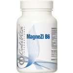 CaliVita magnezi B6 90 tablet – Hledejceny.cz