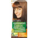 Barva na vlasy Garnier Color Natural Creme 625 světlá ledová mahagonová