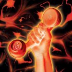 Gabriel Peter - Secret World Live 2LP - Vinyl – Sleviste.cz