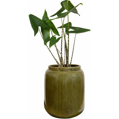 Ter Steege Váza Nine olive green D25 H29 – Hledejceny.cz