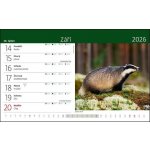 Stolní Helma Myslivecký 2026 – Zboží Dáma