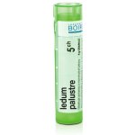 LEDUM PALUSTRE POR 5CH GRA 1X4G – Hledejceny.cz