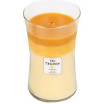 WoodWick Trilogy Fruits of Summer 609,5 g – Zboží Dáma