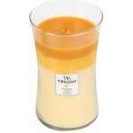 WoodWick Trilogy Fruits of Summer 609,5 g – Hledejceny.cz