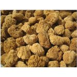 Naturgreen přírodní mycí mořská houba 16-17 cm – Zboží Dáma