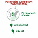 Royal Canin Mini Adult 2 kg – Zboží Dáma