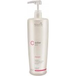 Nouvelle Shampoo Color Glow True Silver 1000 ml – Zboží Dáma