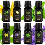 Aromaholik esenicální olej Sada Alchymisty 8 x 10 ml – Hledejceny.cz