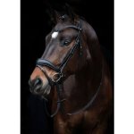 HKM Uzdečka Ira hnědá – Zboží Dáma