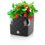 Plastkon Samozavlažovací květináč Cobble 14x14x14 cm antracitový – Zboží Dáma
