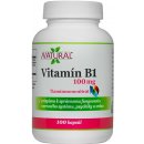 Natural SK Vitamín B1 100 mg 100 kapslí