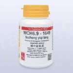 Sinecura WCH6.9-1649 buzhong yiqi tang 60 tablet – Hledejceny.cz