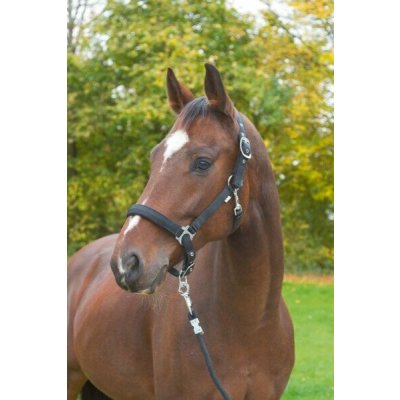 Covalliero Ohlávka Hippo fialová – Zboží Dáma