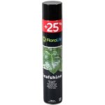 NohelGarden Lesk FLORALIFE na listy 750 ml – Sleviste.cz