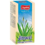 Apotheke Jitrocel čaj 20 x 1,5 g – Hledejceny.cz