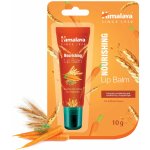 Himalaya Vyživující balzám na rty 10 g – Zboží Dáma