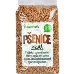 Country Life Pšenice ozimá zrno BIO 1 kg – Zboží Dáma