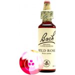 Bachovy květové esence Planá šípková růže Wild Rose 20 ml – Hledejceny.cz