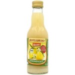 Beutelsbacher citrónová šťáva 200 ml – Zbozi.Blesk.cz