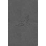 Bible, překlad 21. století (pepřová) - kapesní – Hledejceny.cz