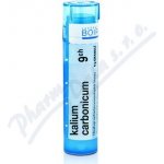 KALIUM CARBONICUM POR 9CH GRA 1X4G – Hledejceny.cz
