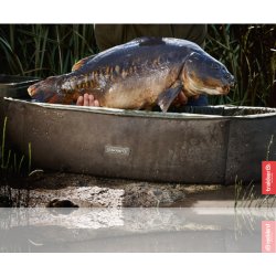 Trakker Podložka Sanctuary Compact Oval Crib