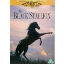 The Black Stallion DVD