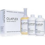 Olaplex Salon Kit 1 x 525 ml Bond Multiplier 1 2 x 525 ml Bond Perfector 2 aplikátor dárková sada – Zboží Dáma