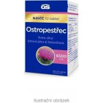 GS Ostropestřec 6500 mg 60 + 10 tablet Dárkové balení – Hledejceny.cz