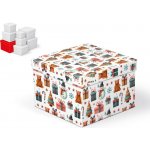 MFP 5371166 Krabice dárková vánoční C-V009-G 20x20x14cm – Hledejceny.cz