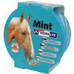 Horslyx Mint 0,65 kg – Zboží Dáma